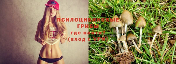 героин Богородицк