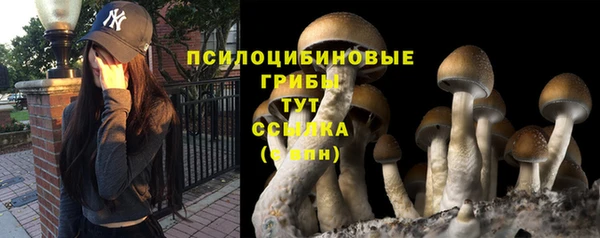 скорость Бородино